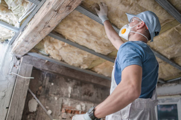 Best Specialty Insulation in Red Lake Falls, MN